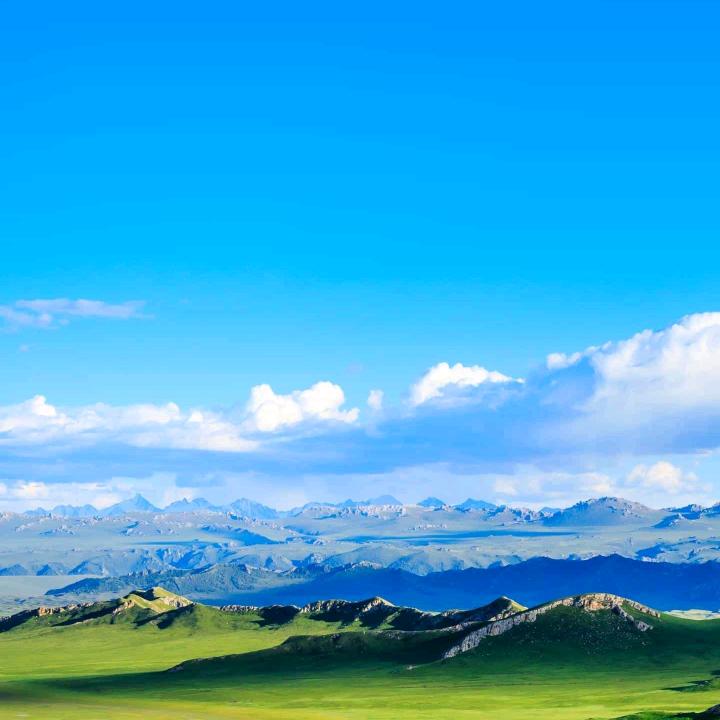 2伍93exLO8昕怡园态迈