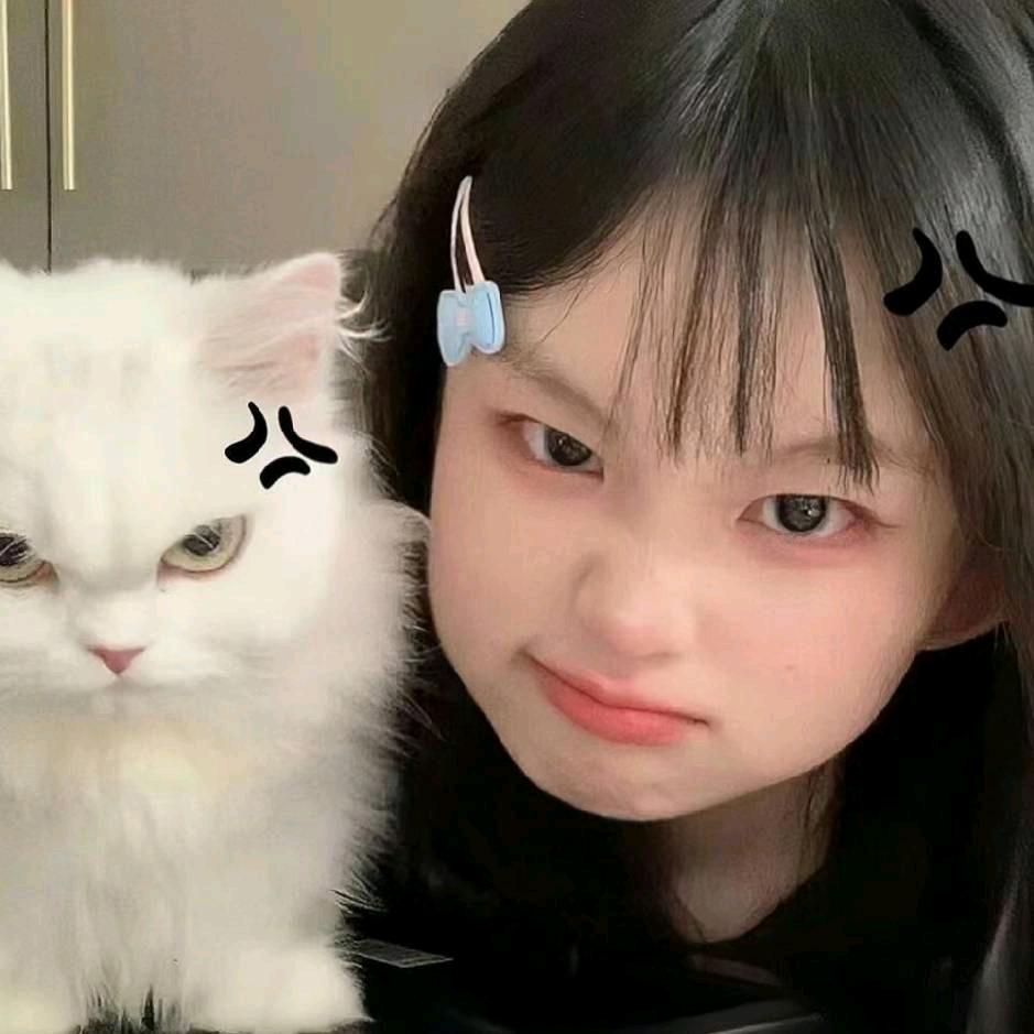 十 二