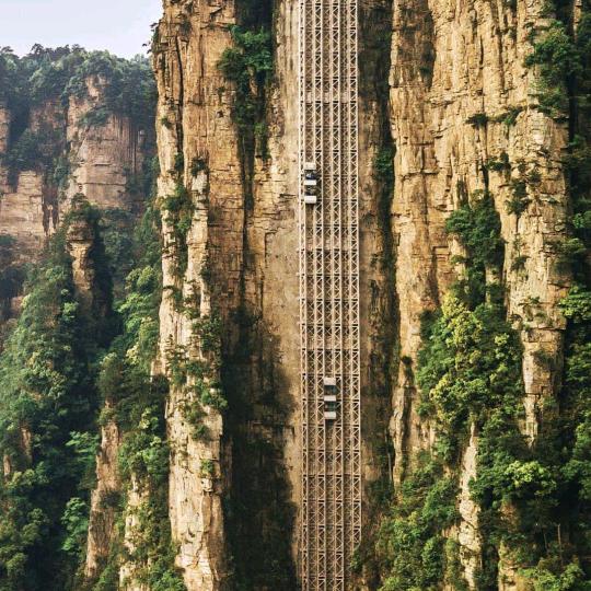 人生爱己（退抖）