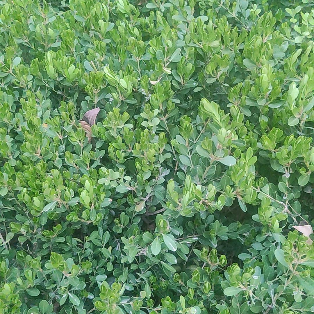 闪电