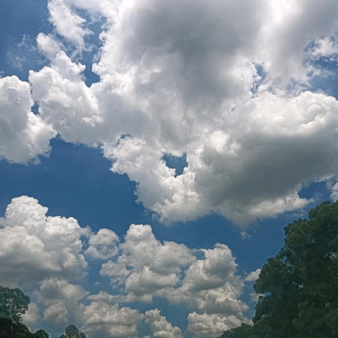 让你发型美美哒