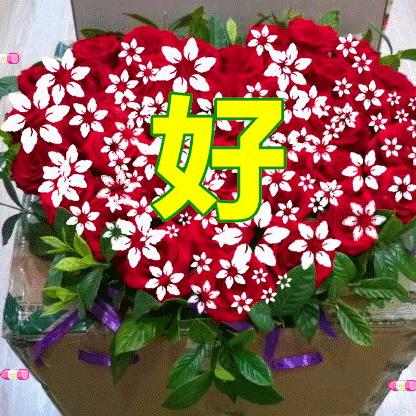 用户7979457377495