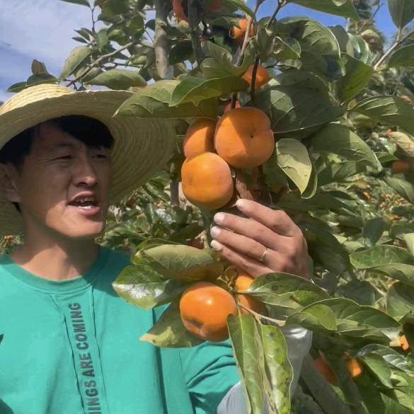 柿禧农家