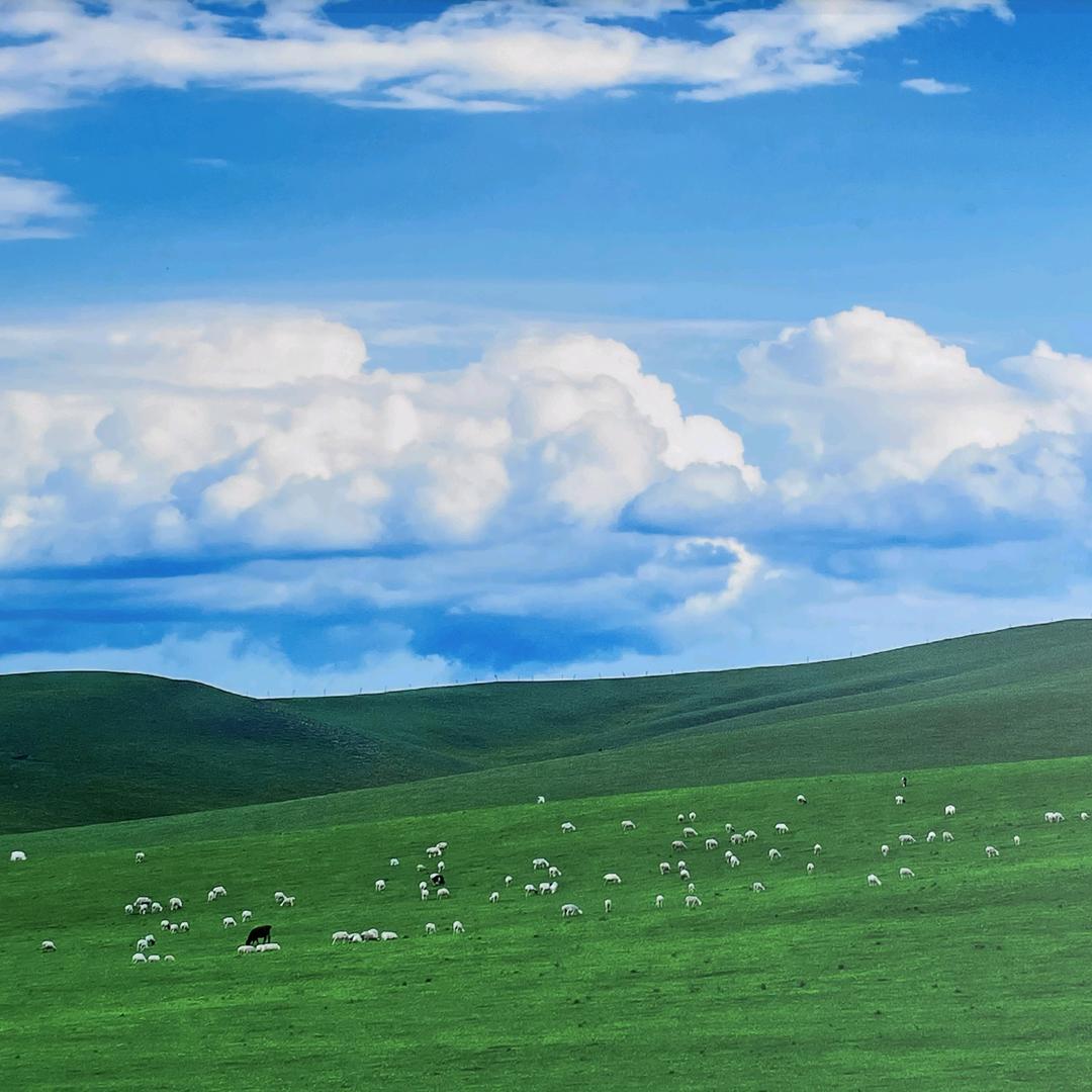 网红道具文旅互动灯光亮化