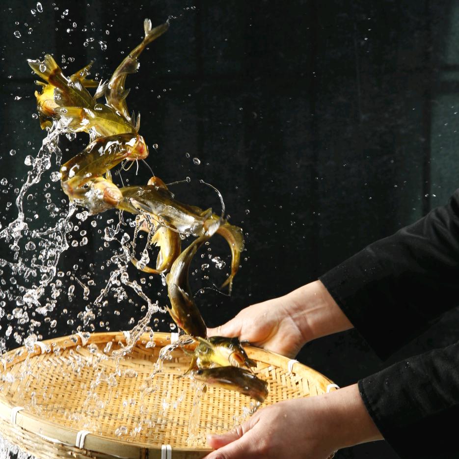 黄辣丁澄城店🐟