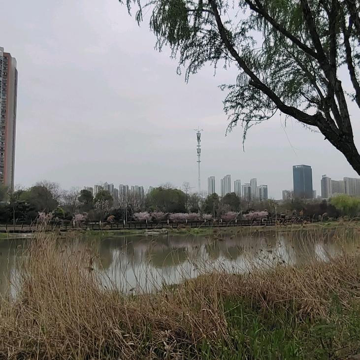 不诚欺我