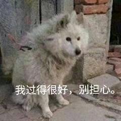 野猪品不了细糠