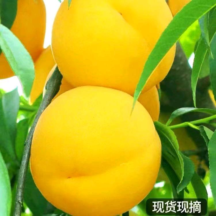 沂蒙生鲜馆