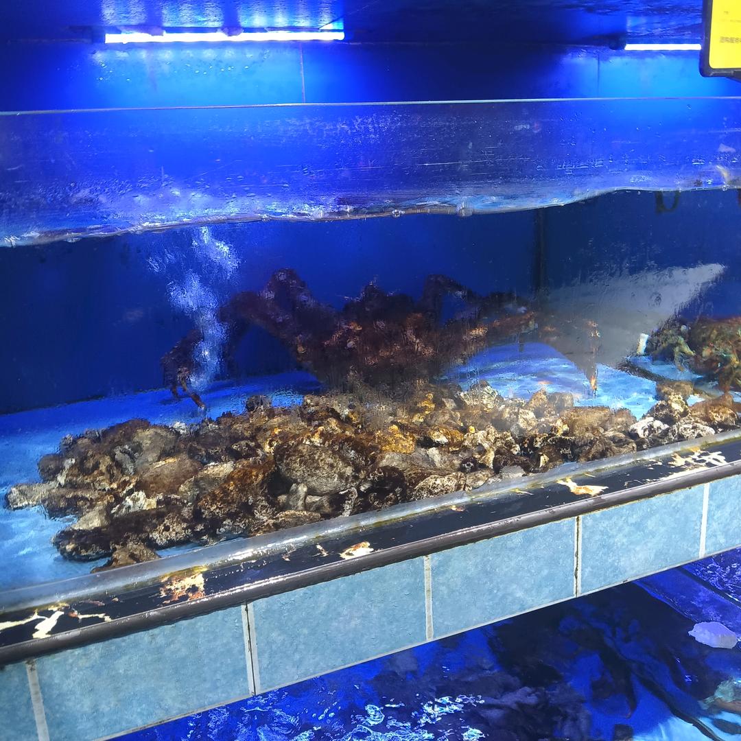 吊烧鸡