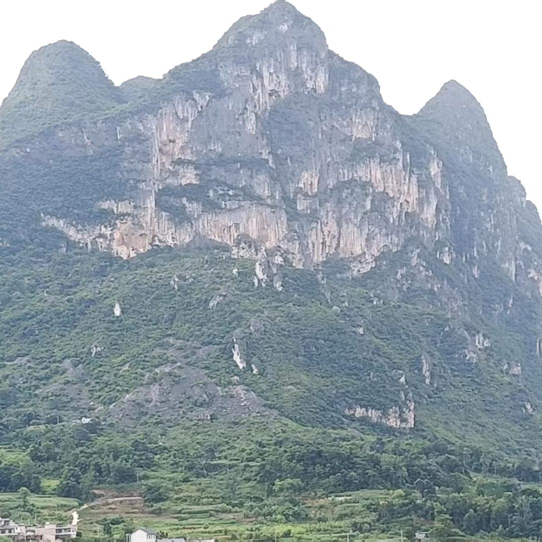 一半清醒，一半醉