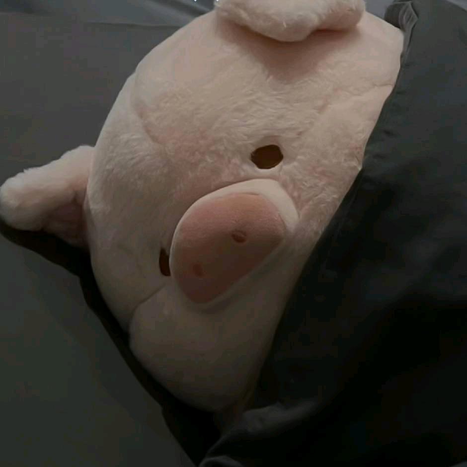 连云港秀察文化传媒有限公司-小霍