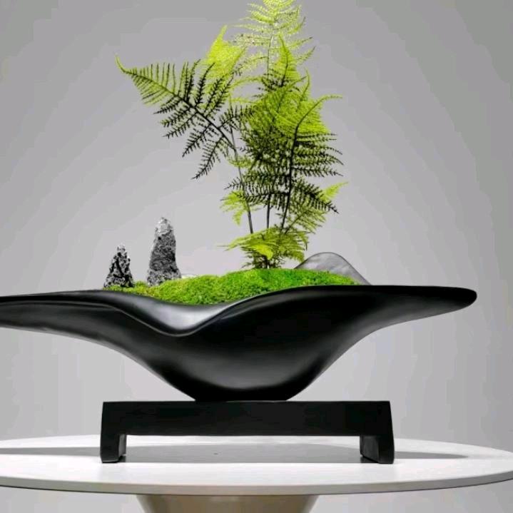 佛晓晨曦