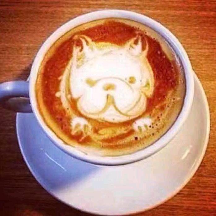 恶霸犬的世界