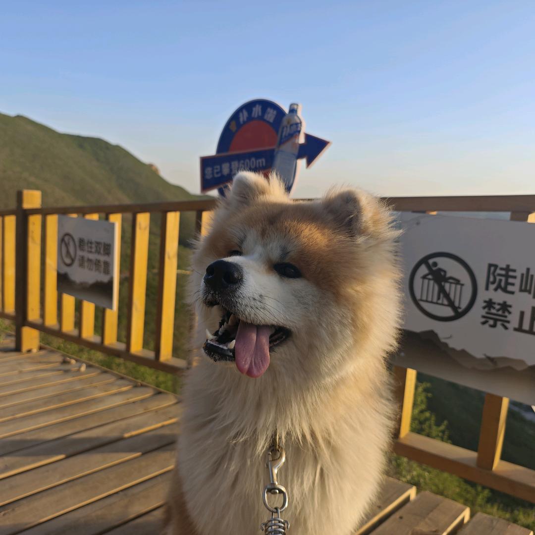 家有一秋名叫鳌拜