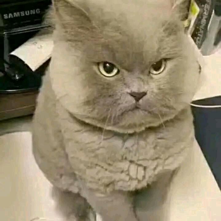 孤独与你。