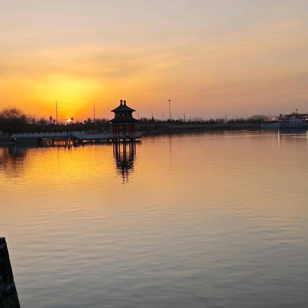 大荔🌹🌹燕子🌷🌷