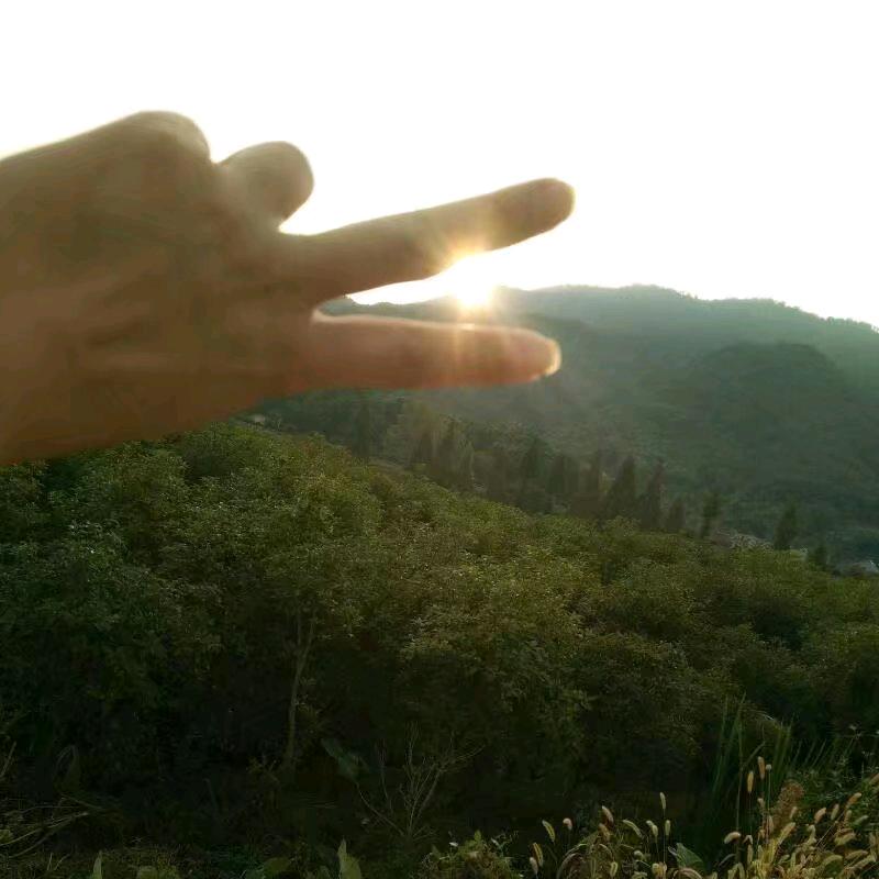 笑的の眼泪