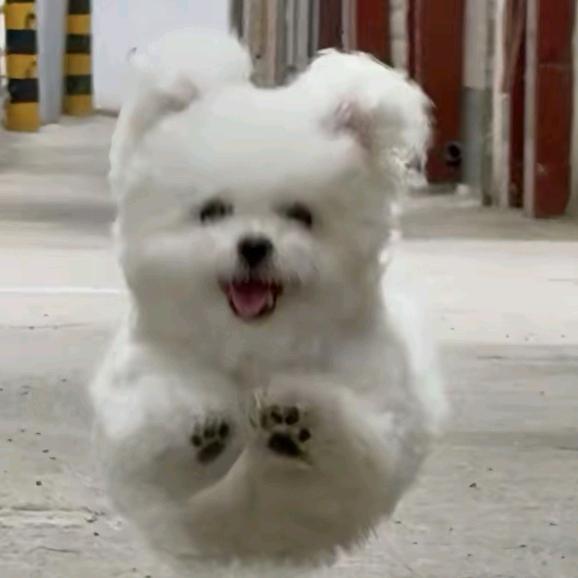 一元的十分之一