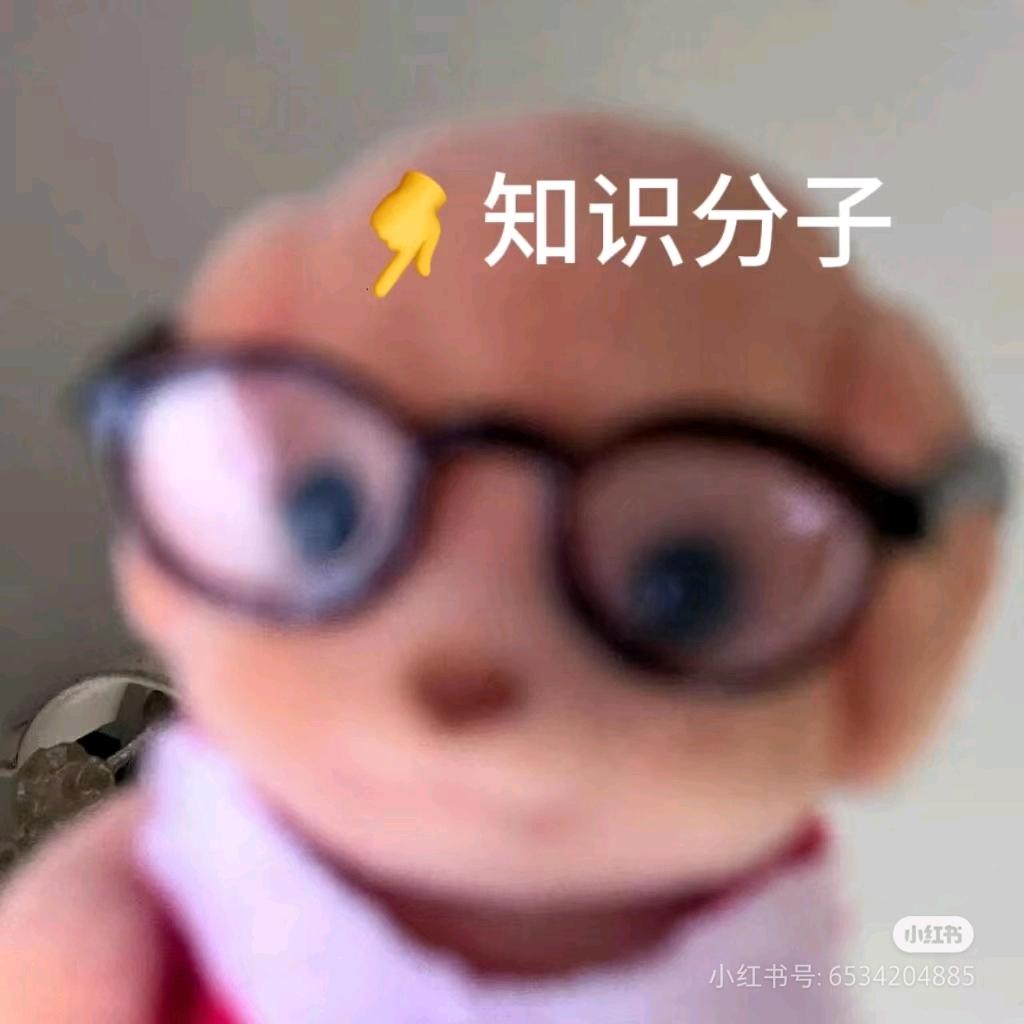 知识分子