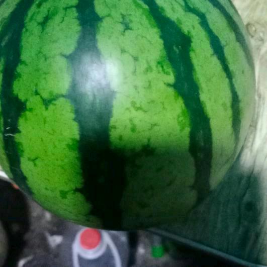 张哥