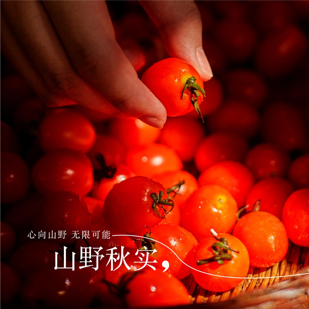 山喀喀酸汤火锅