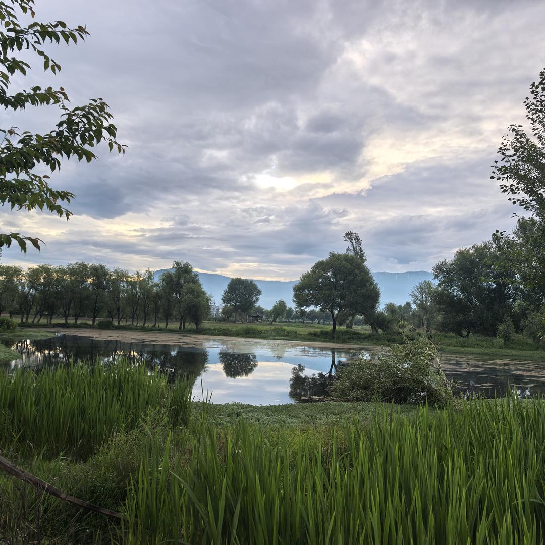 小雨小雨要努力