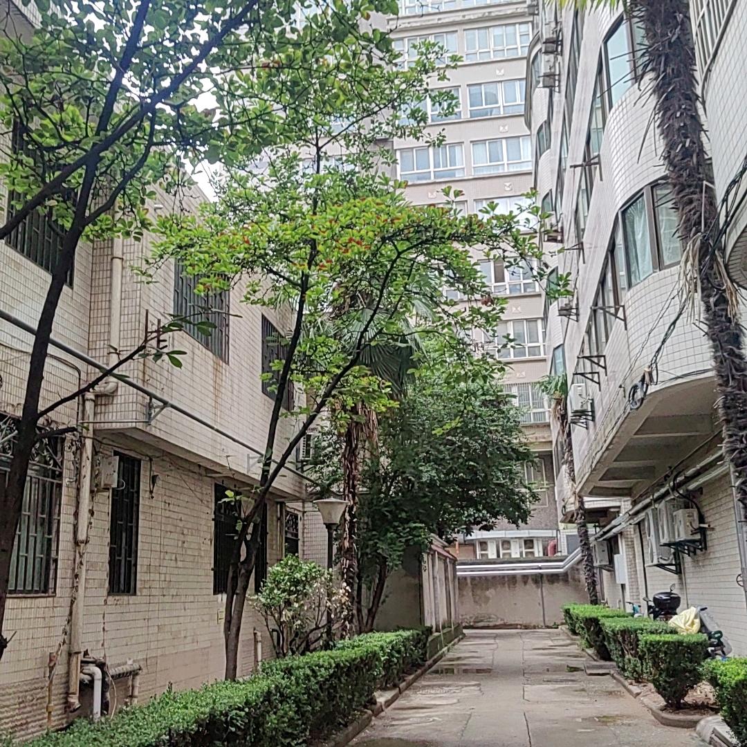 顺其自然，无需强求
