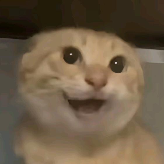 aaa蔬菜批发张叔