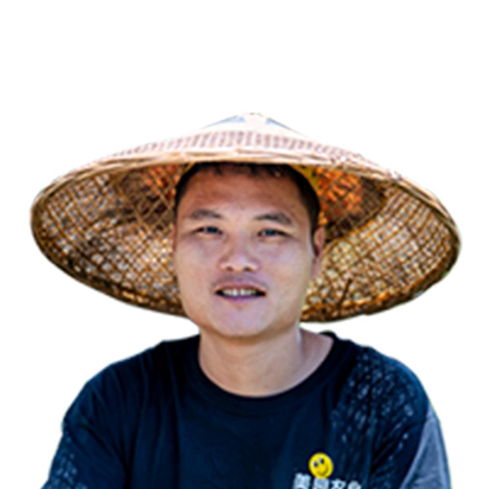 育苗哥授权号