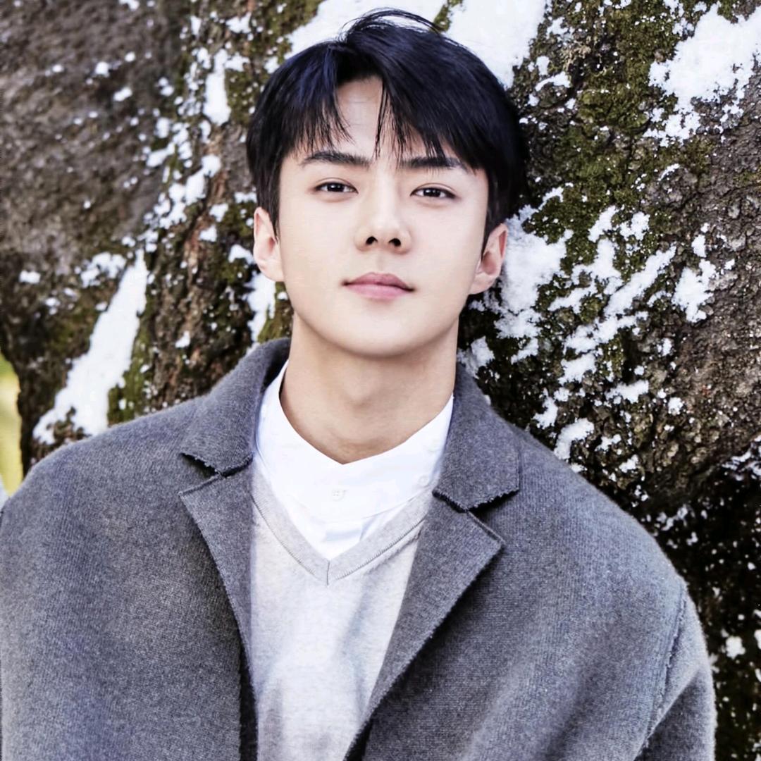 ohsehun