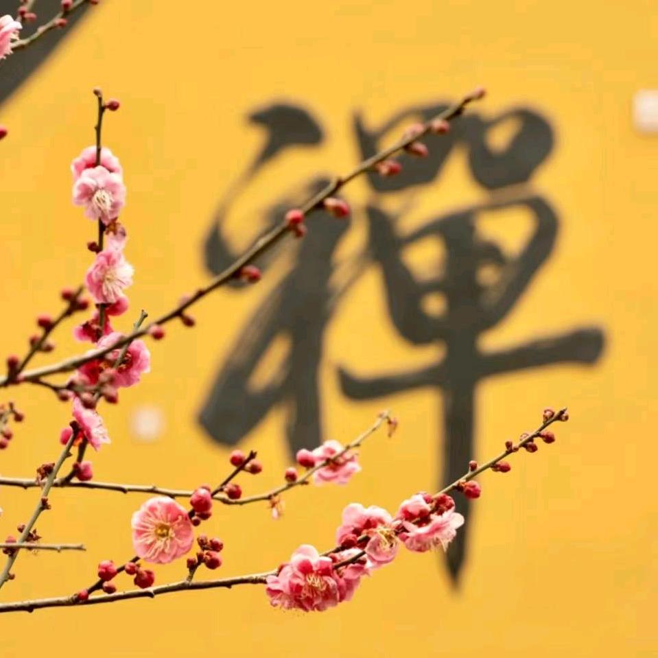 @静缘禅语
