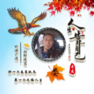 闯天涯