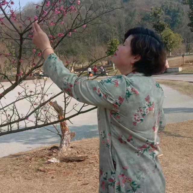 邹邹(乡下柴火豆腐)