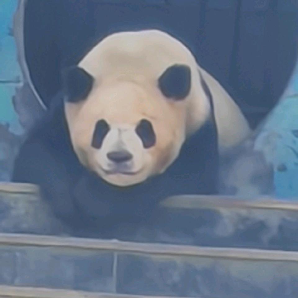 假神经