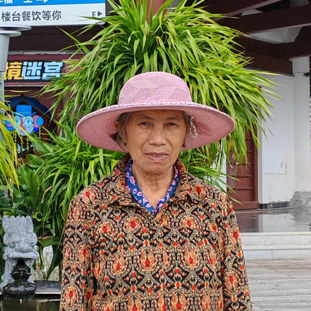 傣寨中的汉族草药阿婆