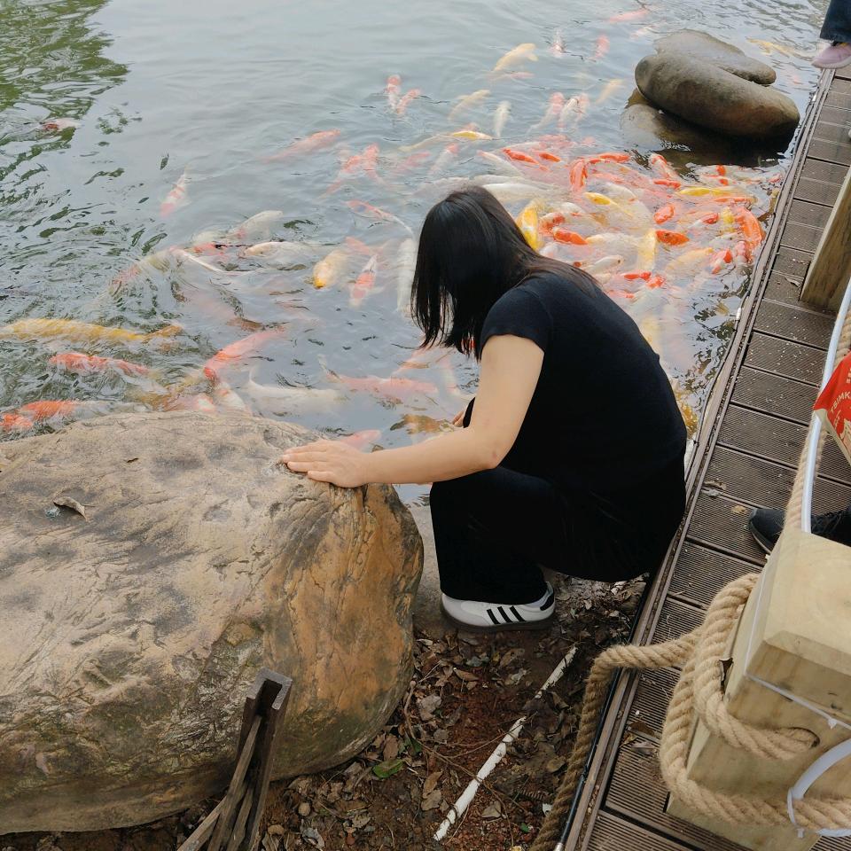 小豆豆