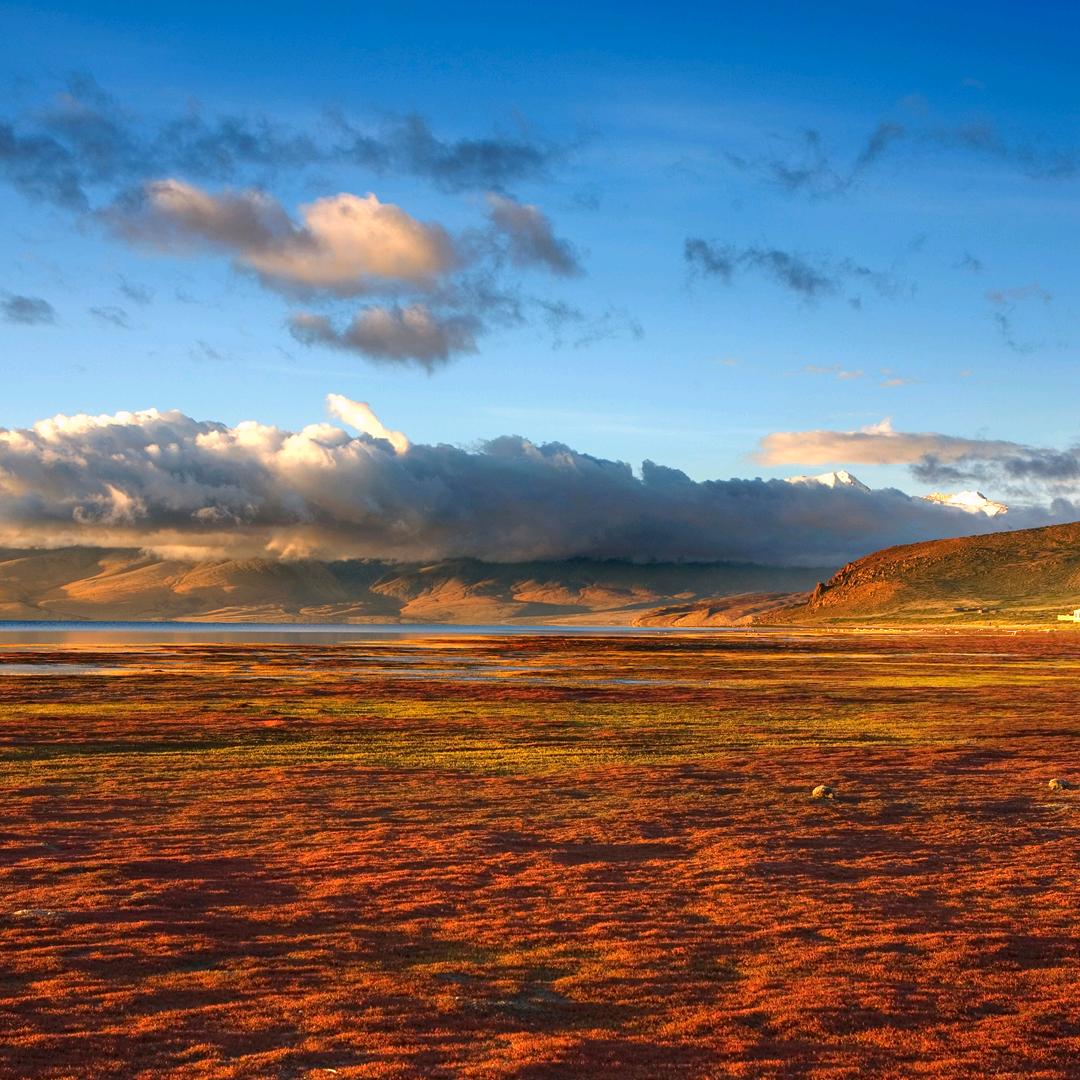 无言以对😎（爱挂机睡觉）🍵