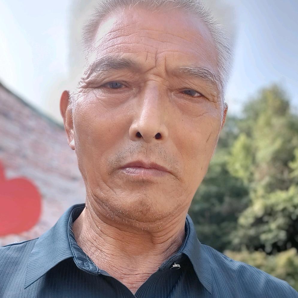 一颗树
