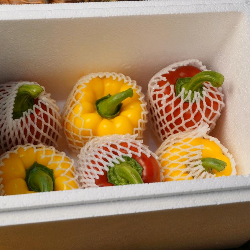 山东寿光市永青甄选