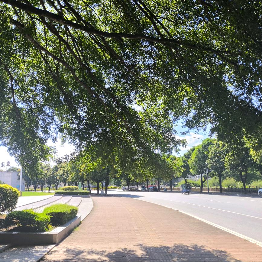 走在乡间的小路上