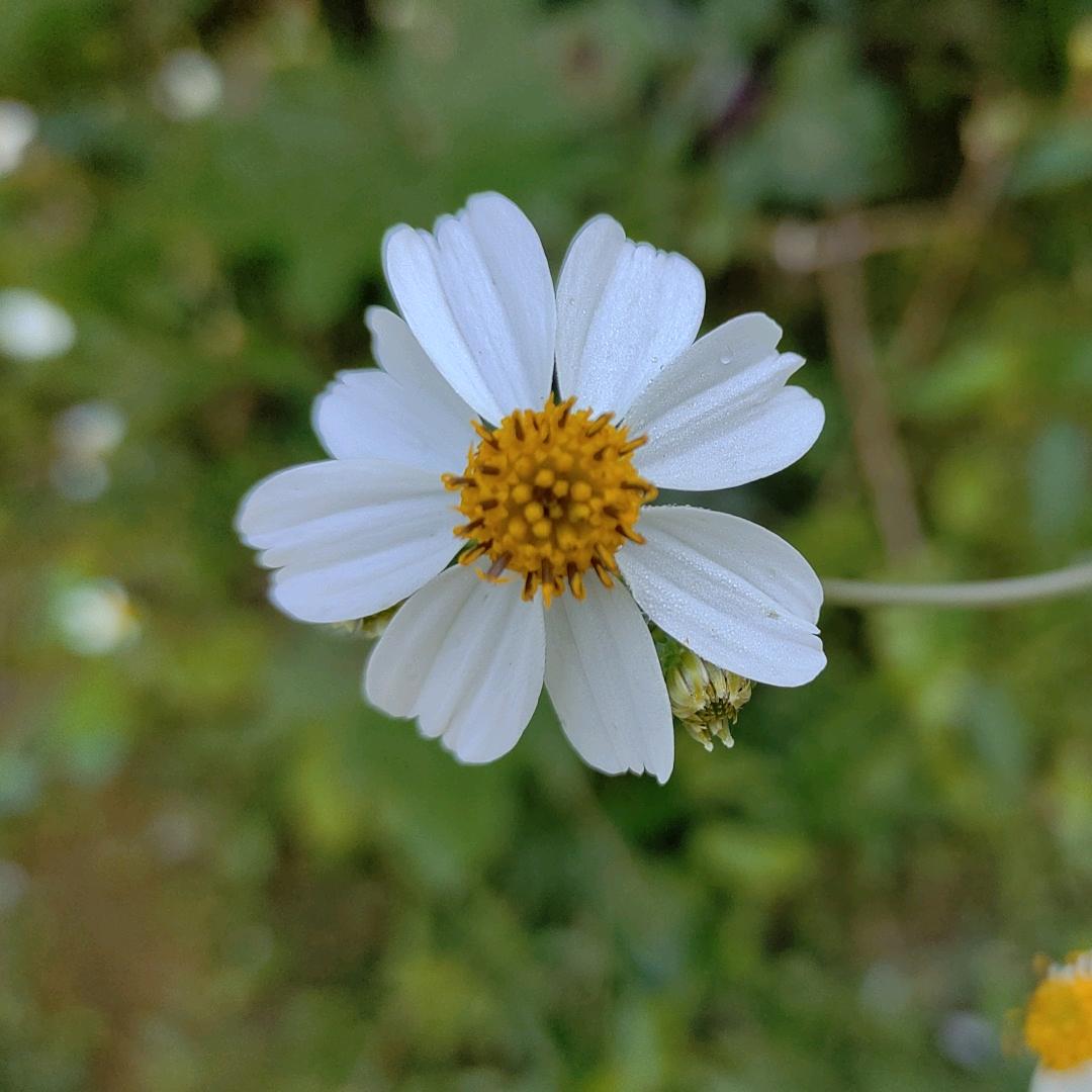 乐乐——爱生活