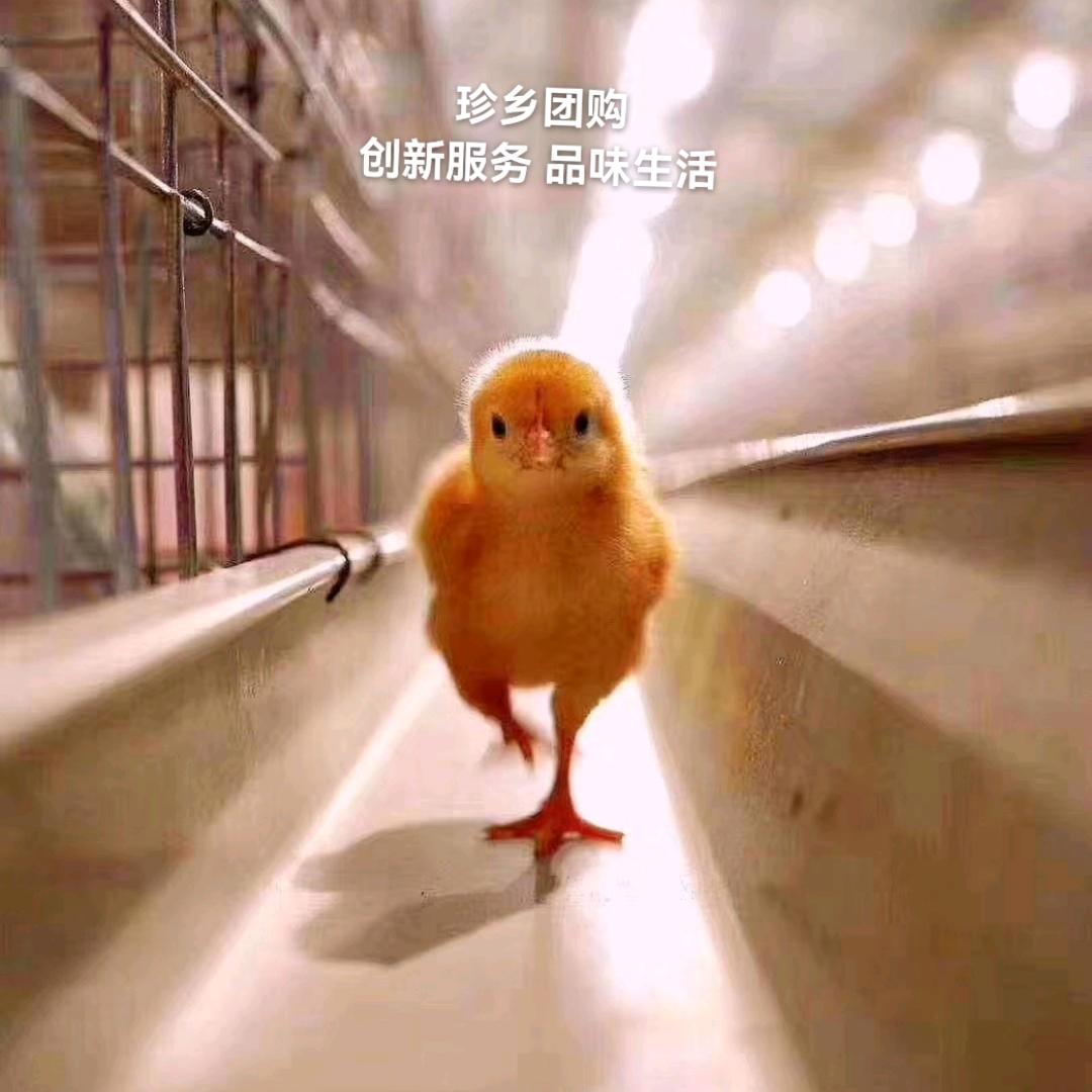 宁国市珍乡蔚蓝家