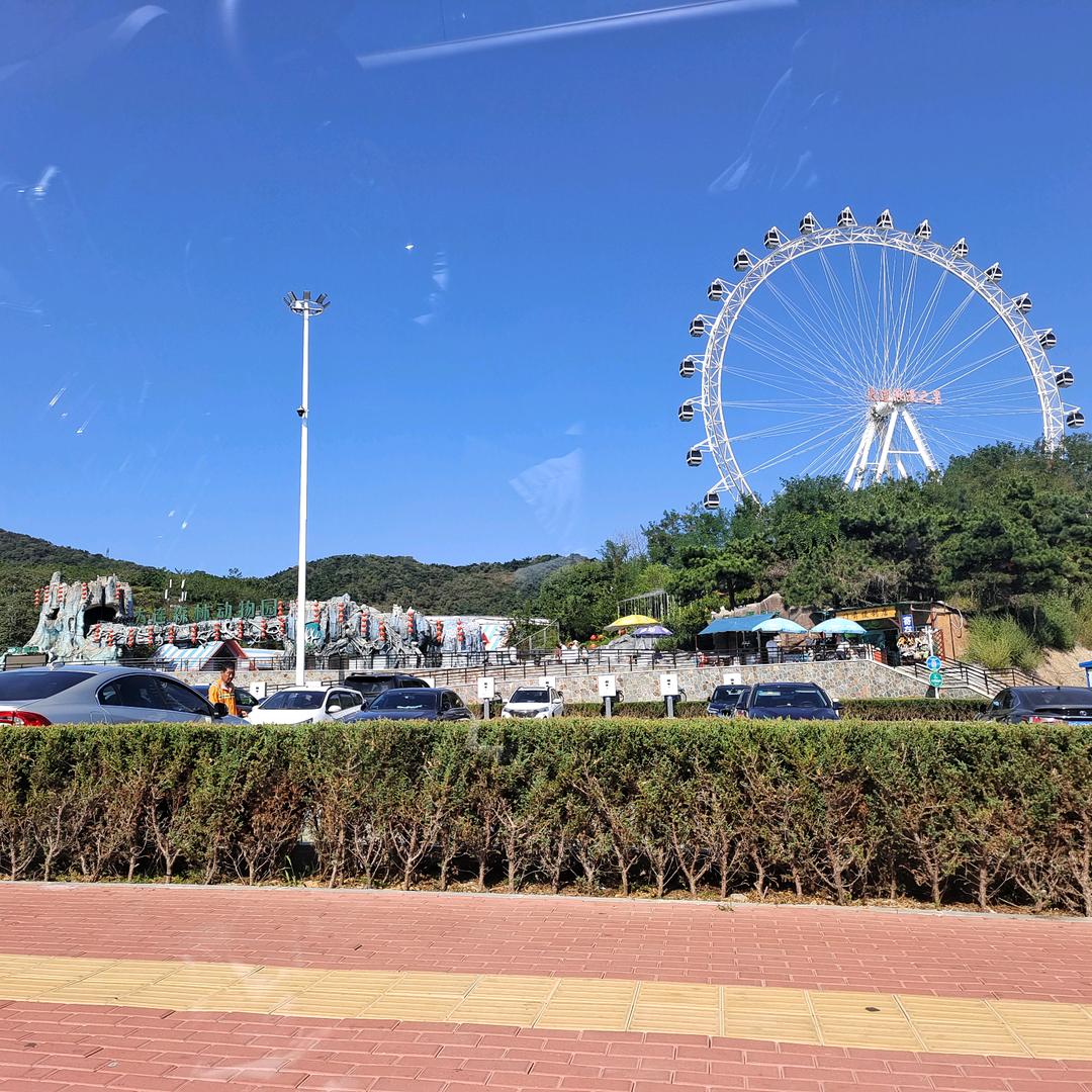 明天会更好好好