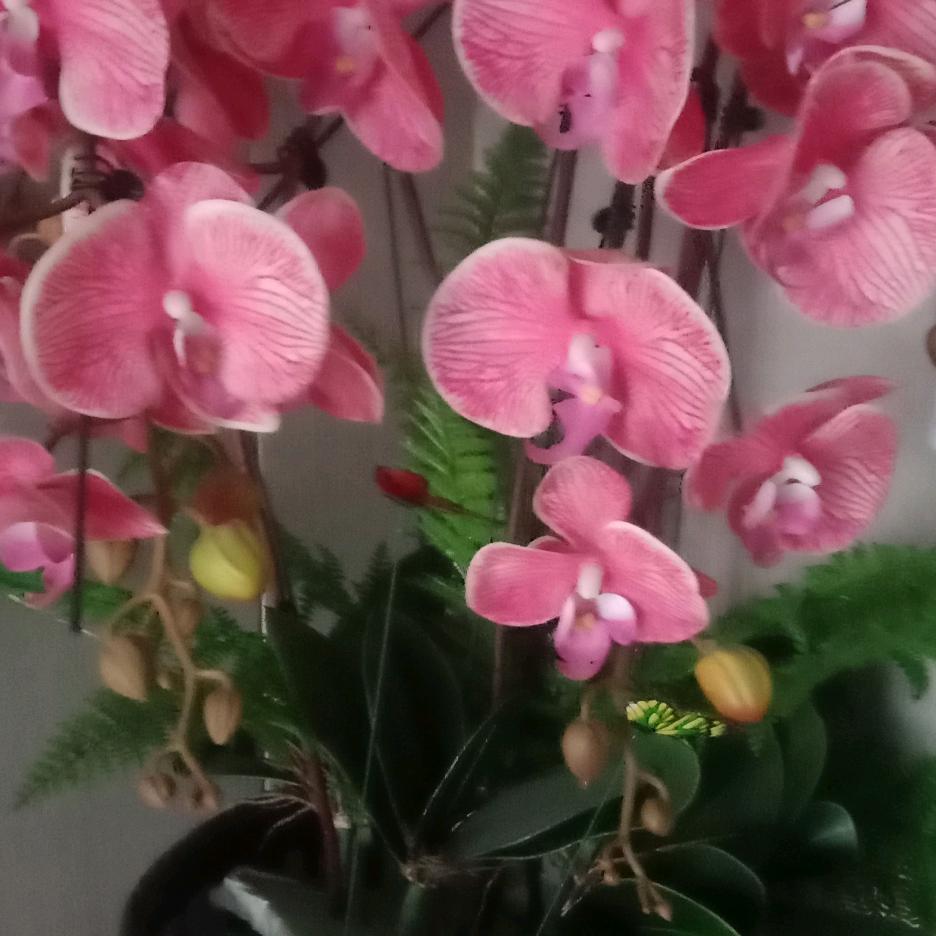 一见钟情