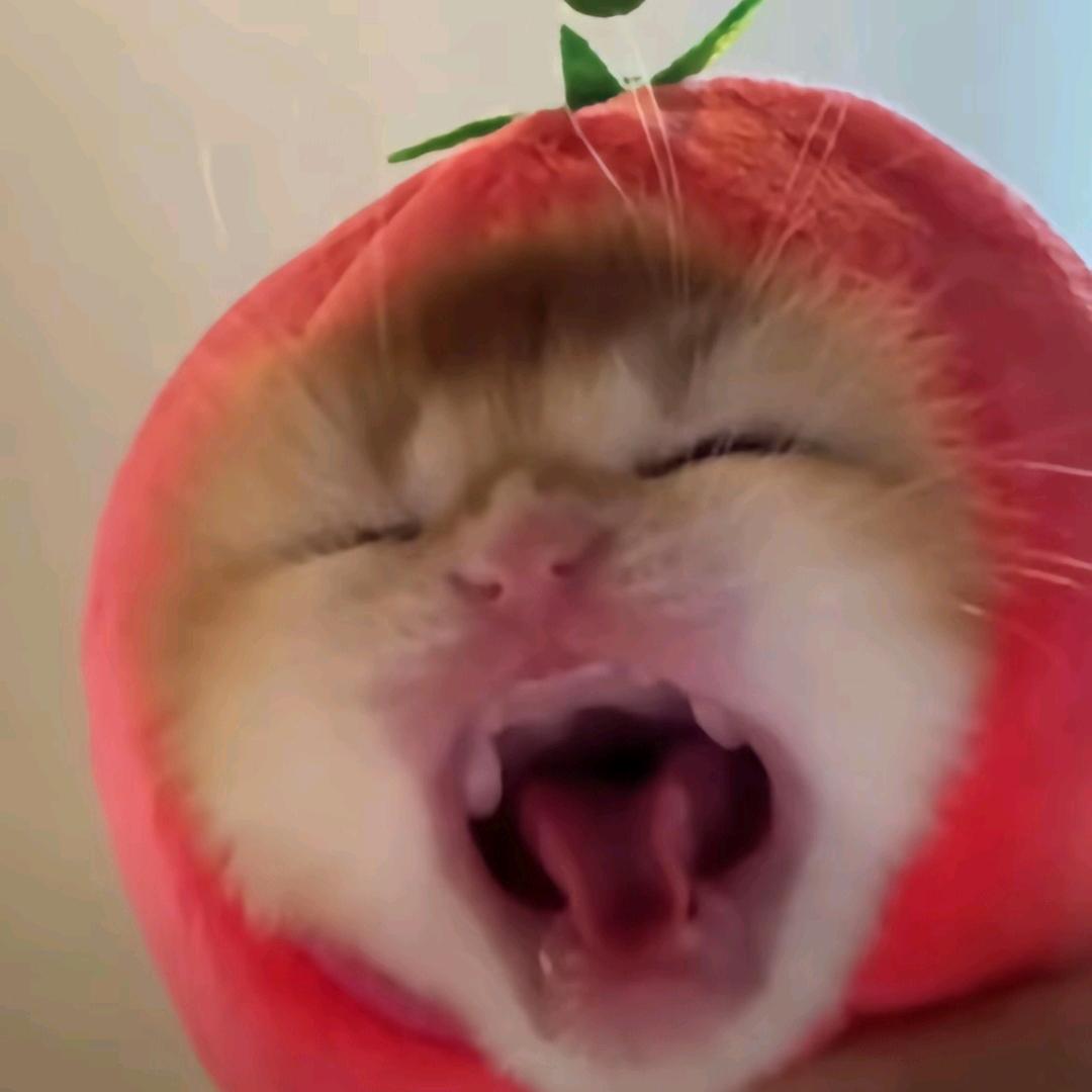 咩咩