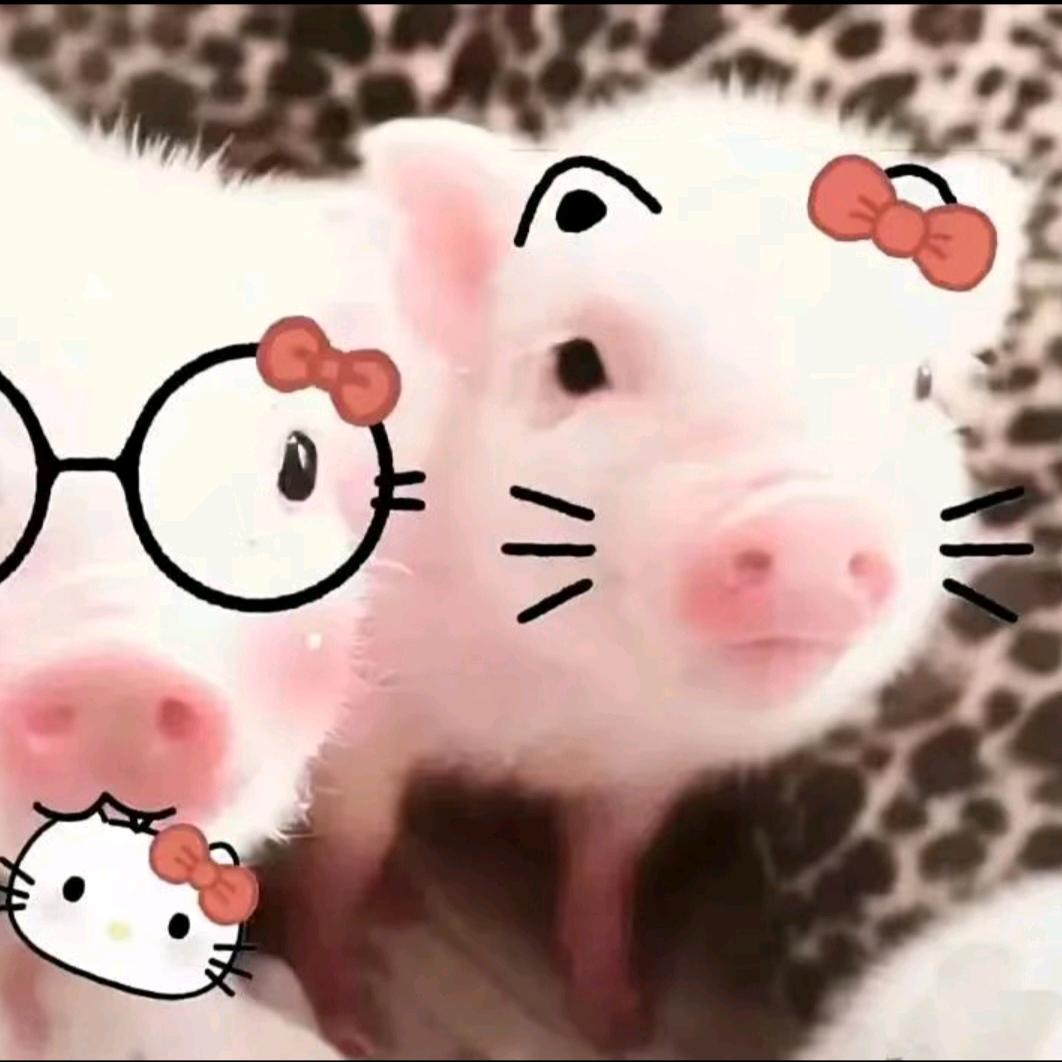樱樱控