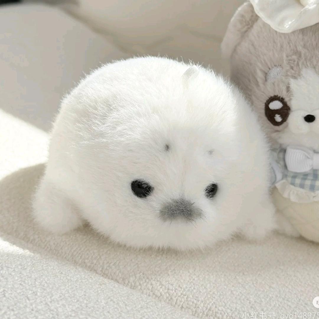 长矛粘史戳谁谁死