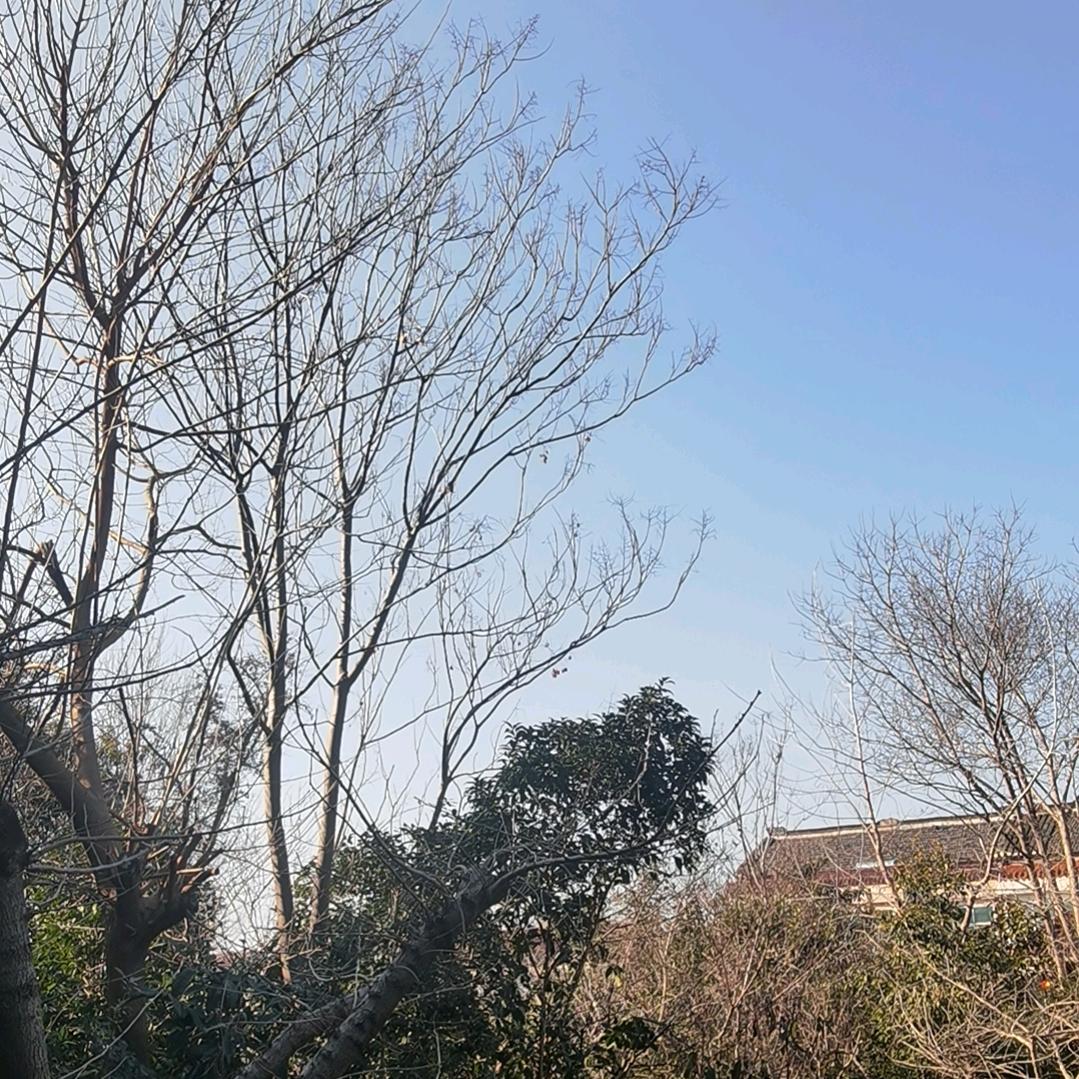 乡村别墅建造张工