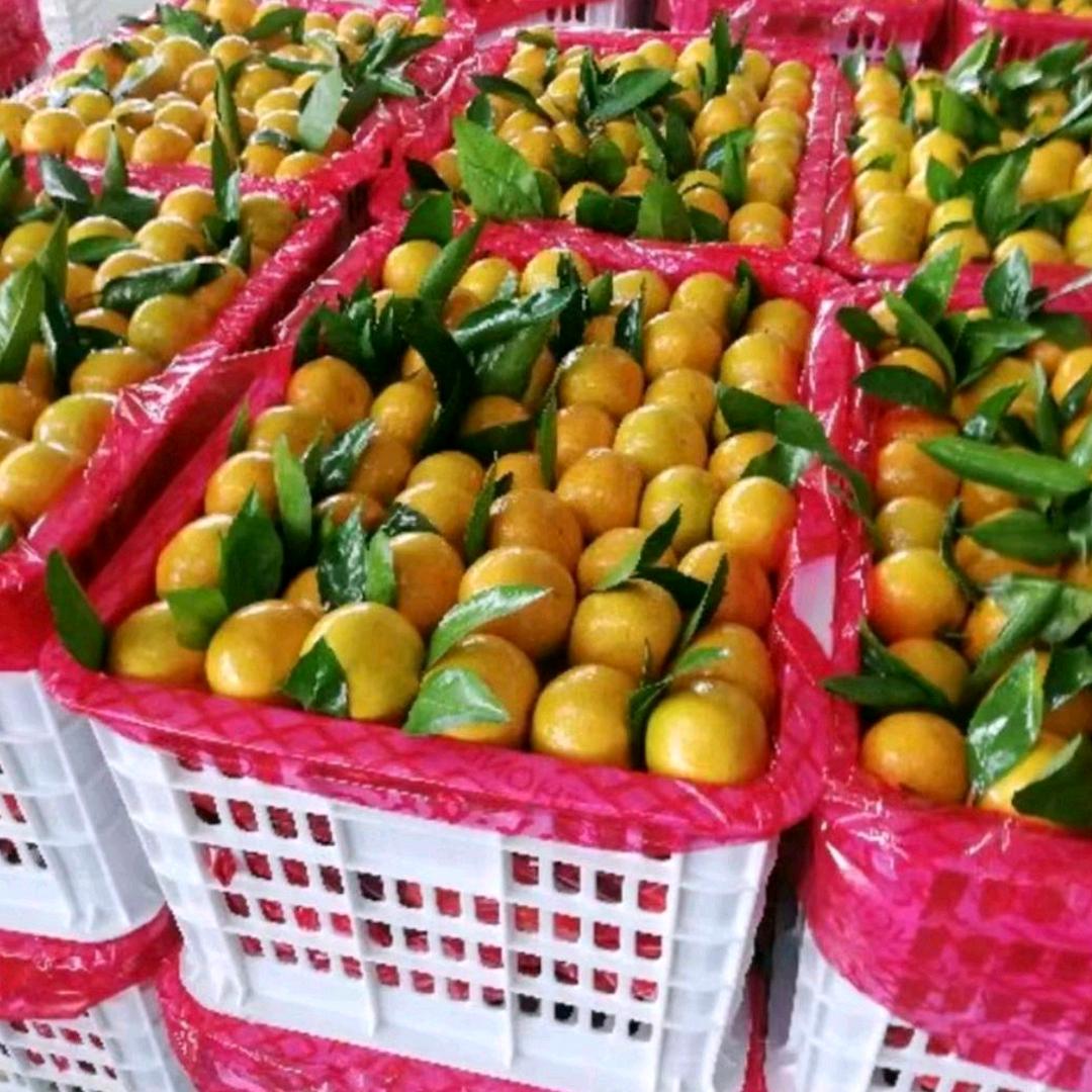 李哥(助农扶商)