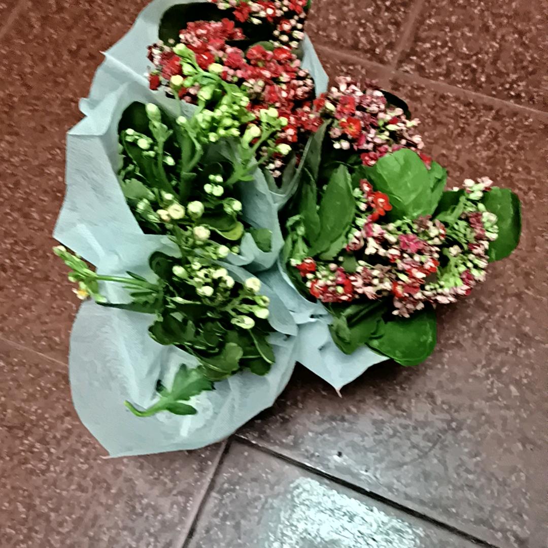 健康